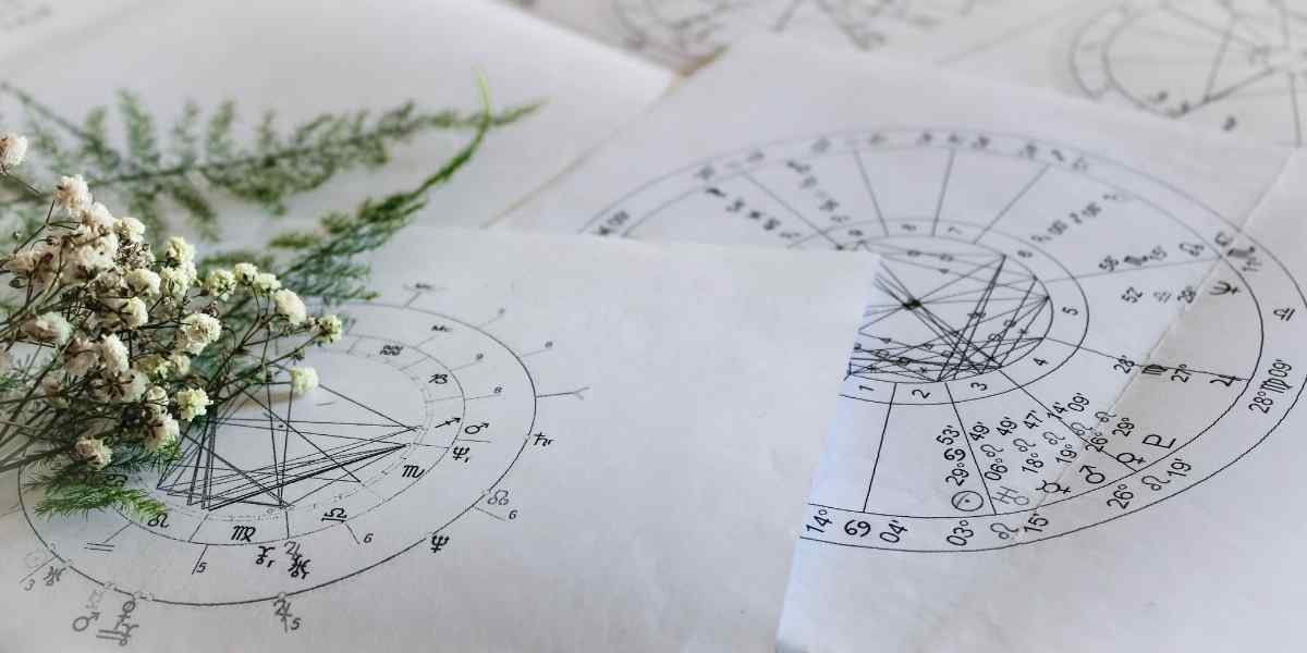 How to read a synastry chart