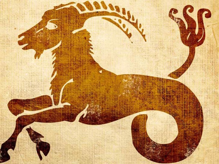 7 Capricorn Spirit Animals You Should Know About!